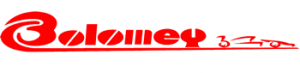 Repuestos Bolomey